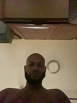 islandvybee55 webcam