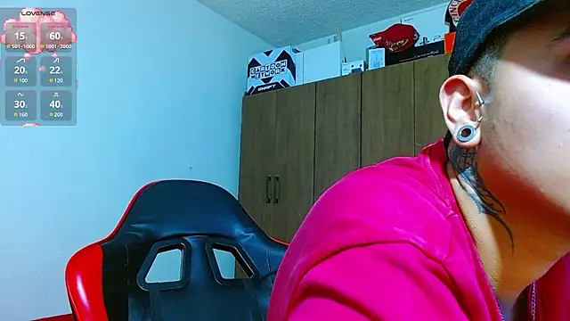 Hgp3riodictabl3 webcam