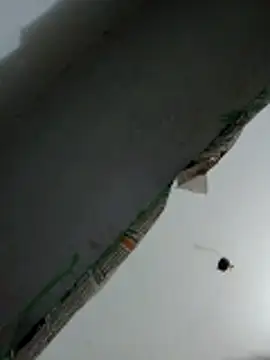 karishma_Bhabhi webcam