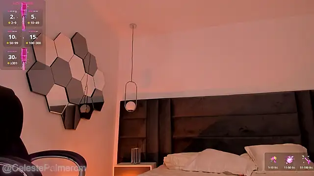 CelestePalmer_ webcam