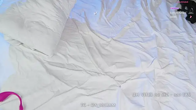 disco_elysium webcam