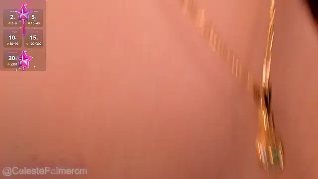 CelestePalmer_ webcam