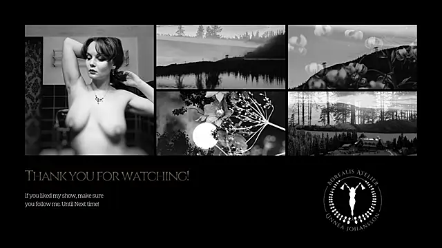 Borealisatelier webcam