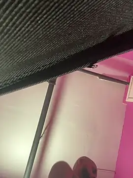 islandvybee55 webcam