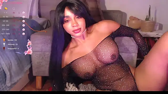 destinne_mill_ webcam