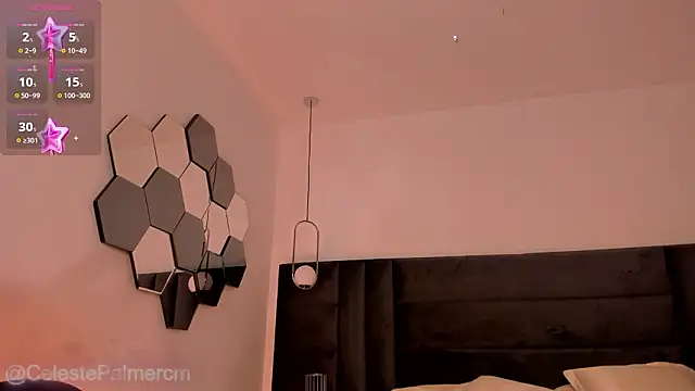 CelestePalmer_ webcam
