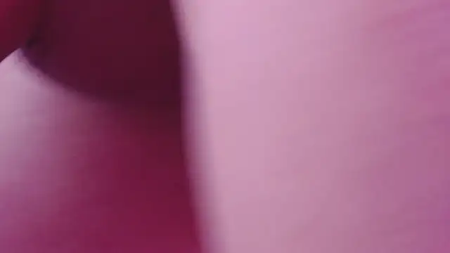 Pearl_Michelts webcam