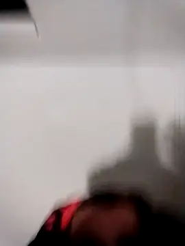 fireearthwaterair webcam