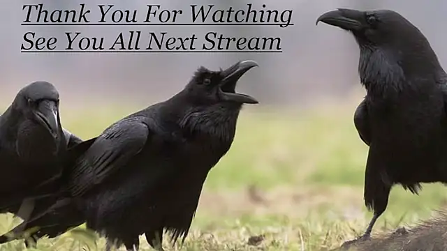 bigneil222 - Bigneil222's free webcam - UK Sex Cams