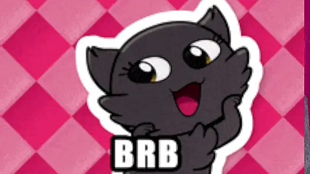 Genesis_Montenegro_OA webcam