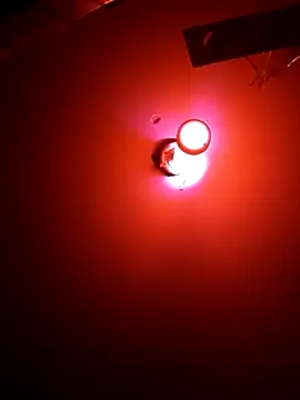 destroassbig2 webcam