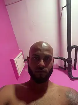 islandvybee55 webcam