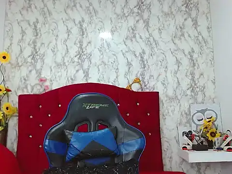 Ailanys_Miller webcam