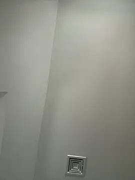 plaintreebull webcam