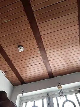 fire_menxxx001 webcam