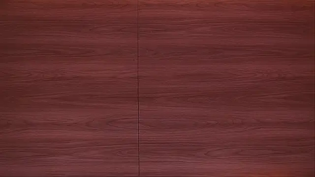 danna_berlin_ webcam