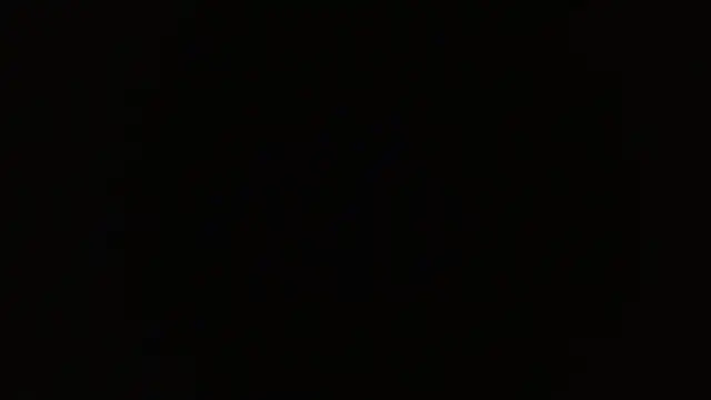 petitoiseau67 webcam