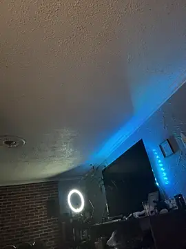 Integrityofsin webcam