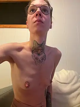 HoneySquirrel webcam