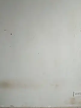 LEIRIS_Y_FRED_01 webcam