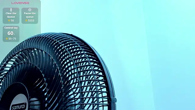 Vittoria_Conti_ webcam