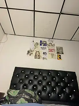 VenusDeMilo_55 webcam