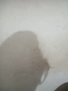 Sexy_girl_011 webcam