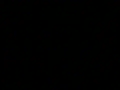 Preview of markluvskitty