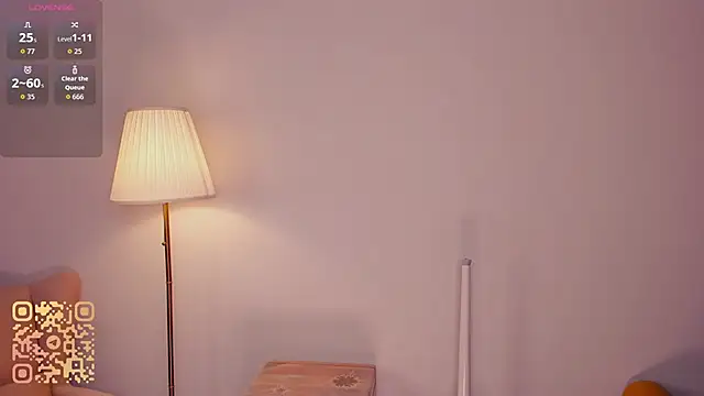 RonnieSchmertz webcam