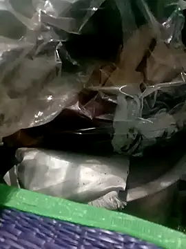 tamilansinsforu webcam