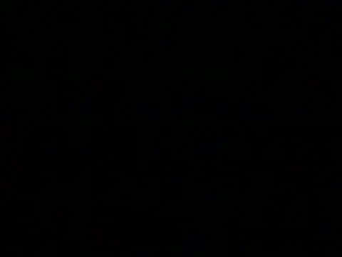 markluvskitty webcam