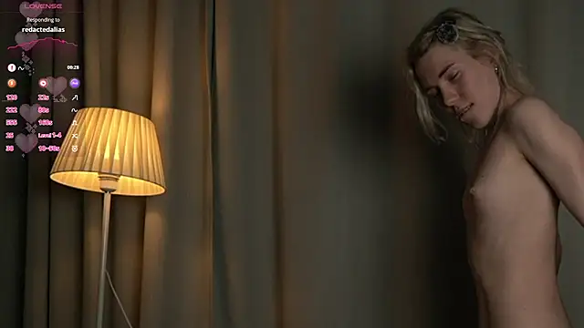 DianeHonnette webcam