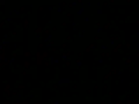 markluvskitty webcam