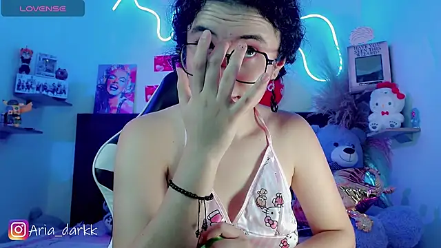 AriaDark webcam