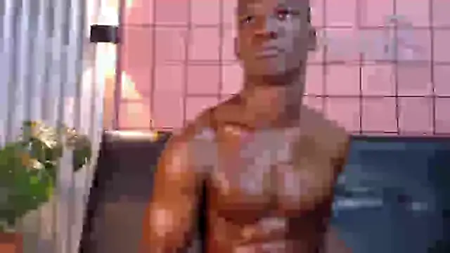 martin_killer webcam