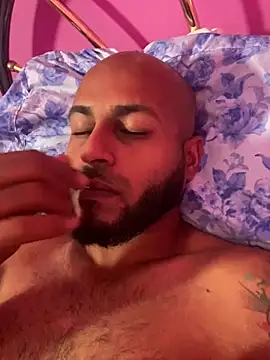 islandvybee55 webcam