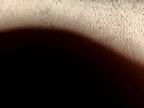 Pollagorda_34877 webcam