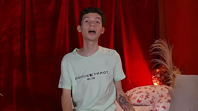 VicenteFerrer webcam