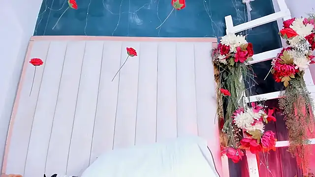 africa_holmes webcam