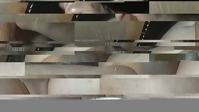 GADDAR_TR06 cam model