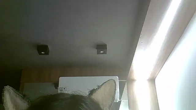SkinnyKitten webcam