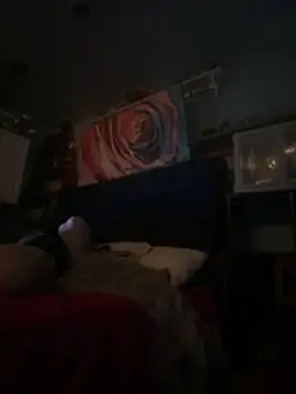 ashtonchicken - AshtonChicken's free webcam - UK Sex Cams