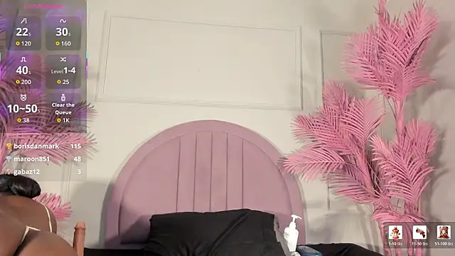 Tamaramilleer webcam