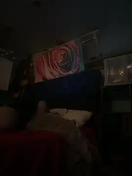 AshtonChicken webcam