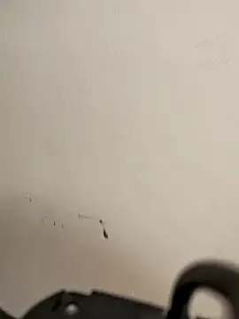 AvaSquirtMilf webcam