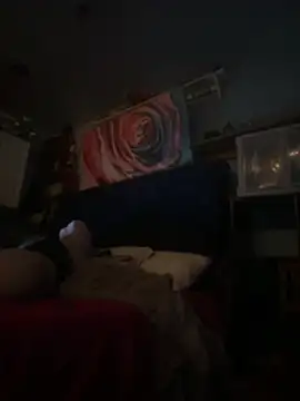 AshtonChicken webcam