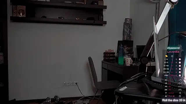 VIktorSecret webcam