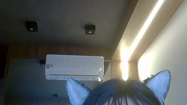 SkinnyKitten webcam
