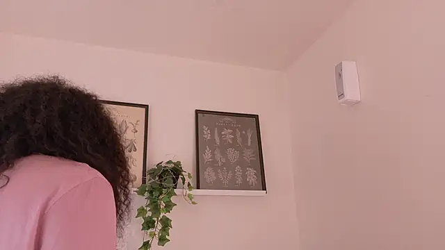 memphiswilliam webcam