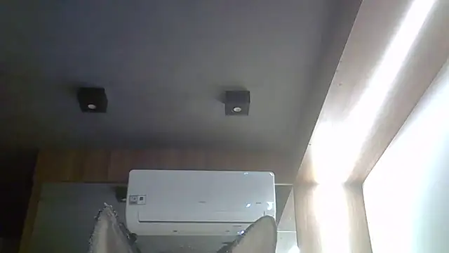 SkinnyKitten webcam
